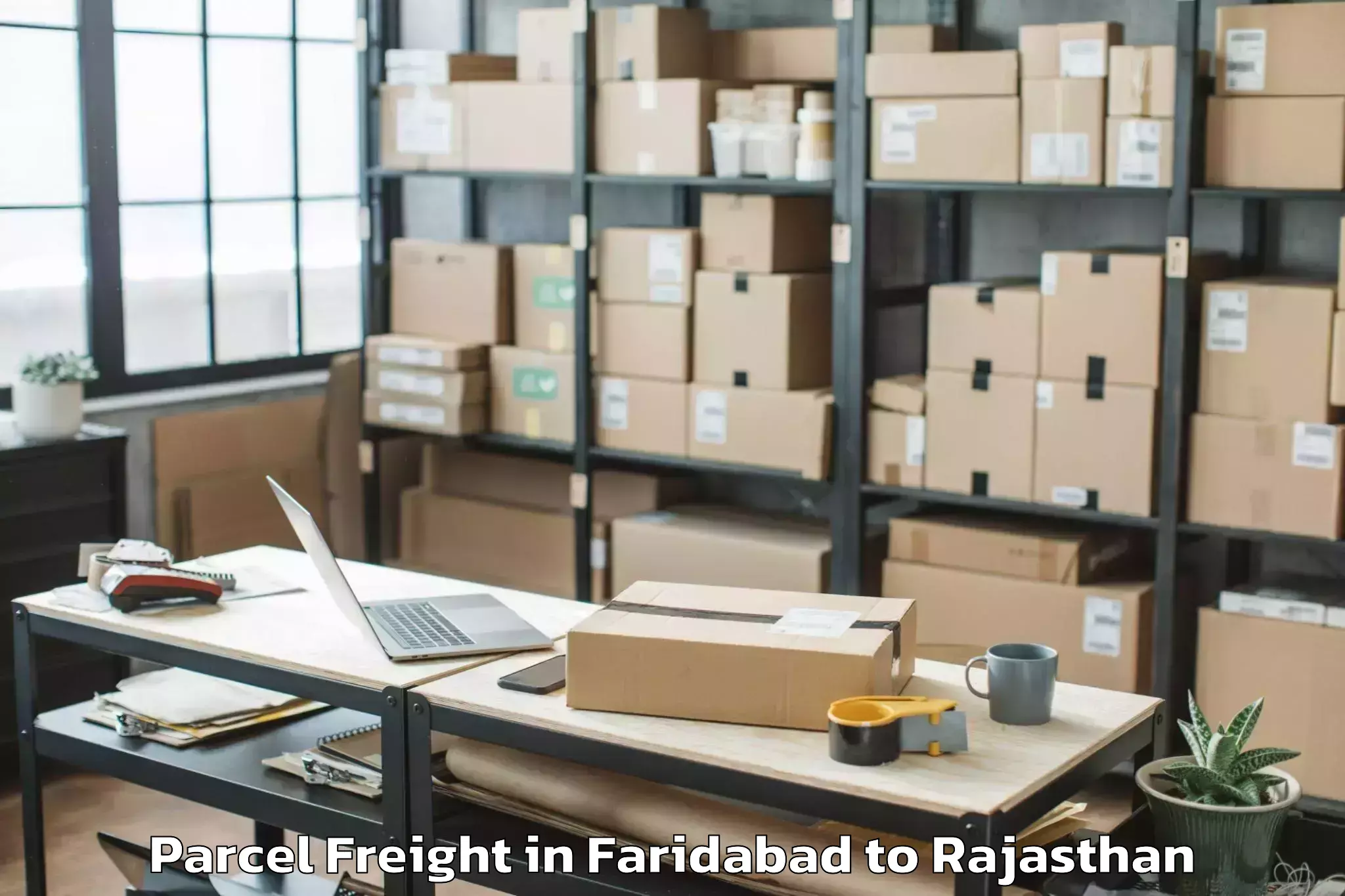 Faridabad to Malpura Parcel Freight Booking